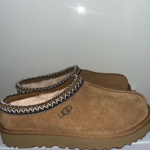 brand new Tasman slippers